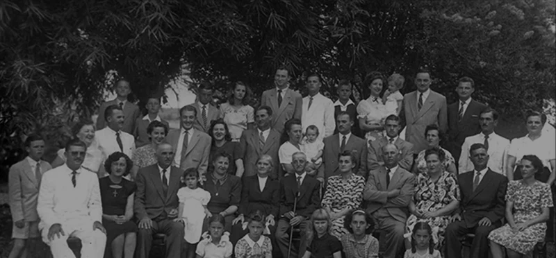 Colheita de café antiga